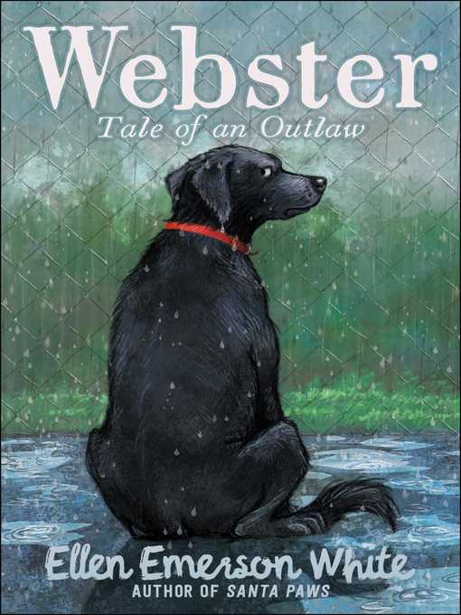 Cover image for Webster